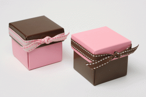 Bardot Pink and Brown Favour Boxes